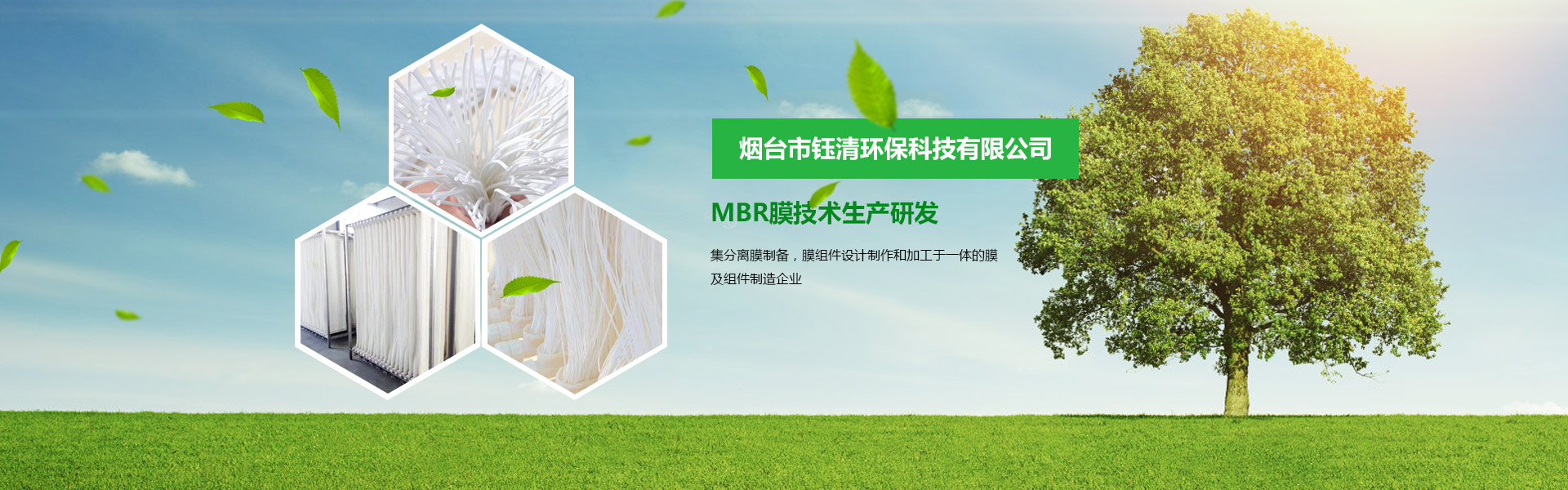 mbr膜厂家